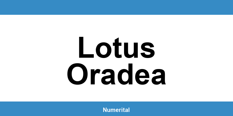 Contact telefon DIGI pentru deranjamente în Lotus Oradea