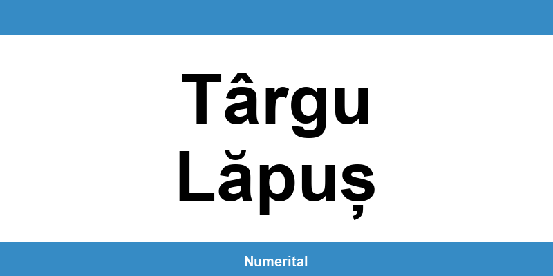 Contact telefon DIGI pentru deranjamente în Târgu Lăpuș