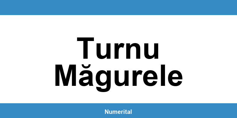 Contact telefon DIGI pentru deranjamente în Turnu Măgurele