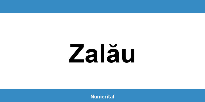 Contact telefon DIGI pentru deranjamente în Zalău