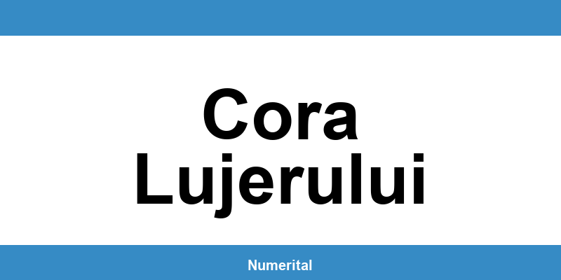 Contact telefon DIGI pentru deranjamente în Cora Lujerului