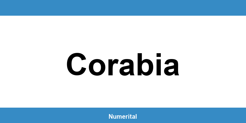 Contact telefon DIGI pentru deranjamente în Corabia